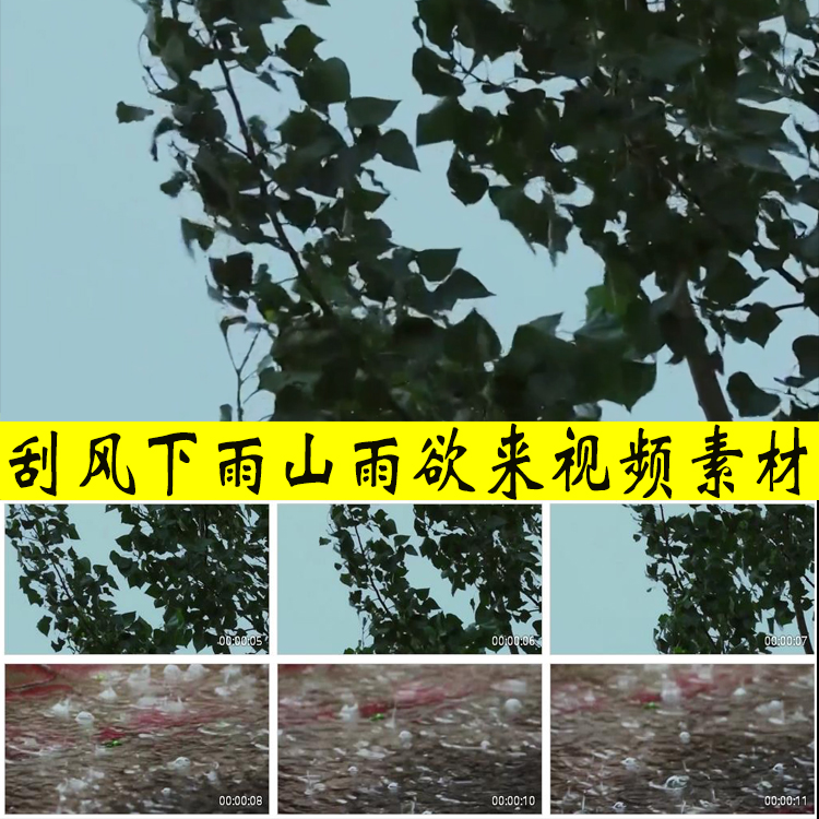 山雨欲来风满楼刮风即将下雨落雨树叶风中飘摇实拍视频素材