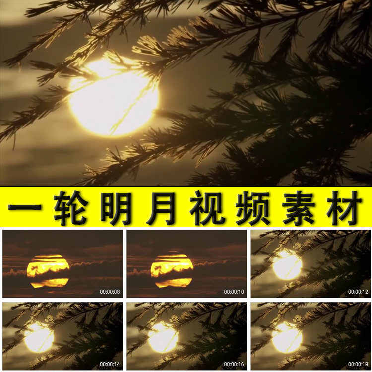 月亮月夜一轮明月高高挂天边上挂十五的月亮圆月儿明实拍视频素材