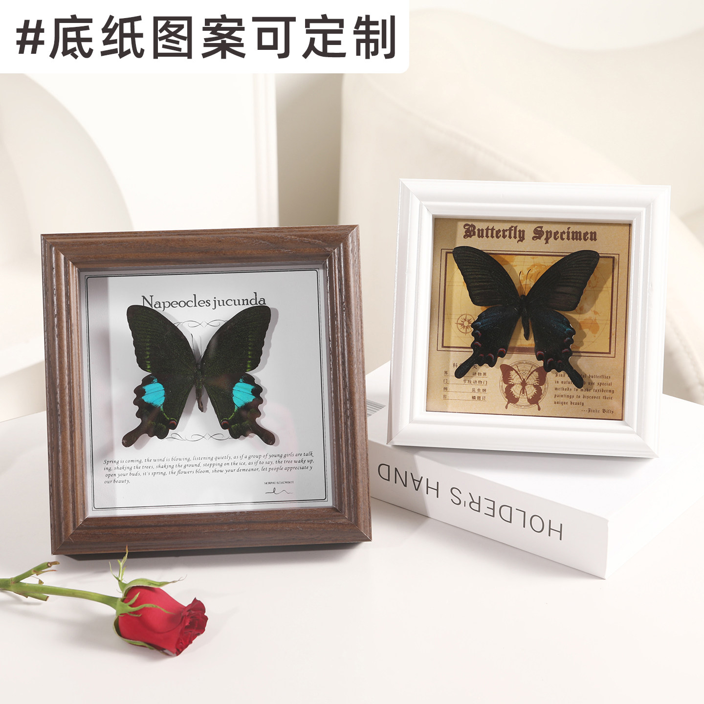 绿带翠凤蝴蝶昆虫标本相框摆台手工diy立体中空保存展示画框挂墙,家居饰品,相框/画框,淘宝优惠券,粉丝福利购,淘宝优惠卷