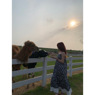 temet 蓝色全棉碎花纯棉衬衫 nosce 水乡千金风 吊带 诗瓷江南