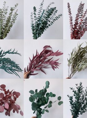 云南尤加利叶干花束婚庆插花