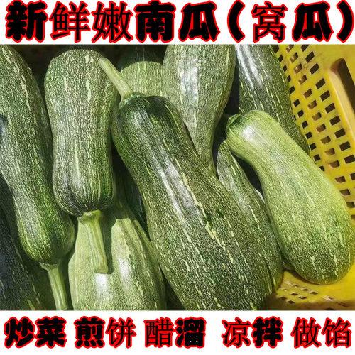 新鲜嫩南瓜蔬菜青窝瓜现摘现发