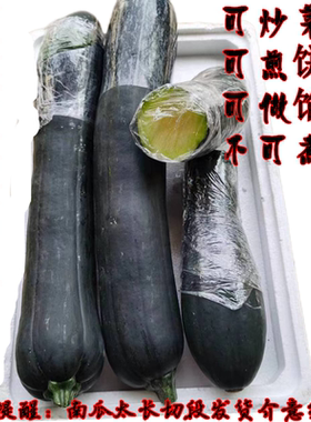 当季嫩南瓜新鲜菜黑皮南瓜嫩倭瓜青窝瓜现摘牛腿南瓜包饺子一整箱