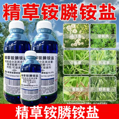精草铵膦铵盐除草剂果园荒地