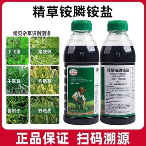 除草剂精草铵膦铵盐除草剂