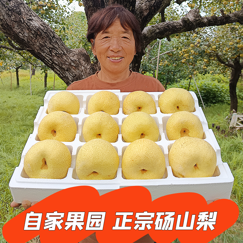 烤梨专用梨子新鲜水果安徽砀山梨皇冠梨酥脆青梨雪梨10斤整箱包邮,水产肉类/新鲜蔬果/熟食,梨,淘宝优惠券,粉丝福利购,淘宝优惠卷