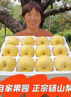 烤梨专用梨子新鲜水果安徽砀山梨皇冠梨酥脆青梨雪梨10斤整箱包邮