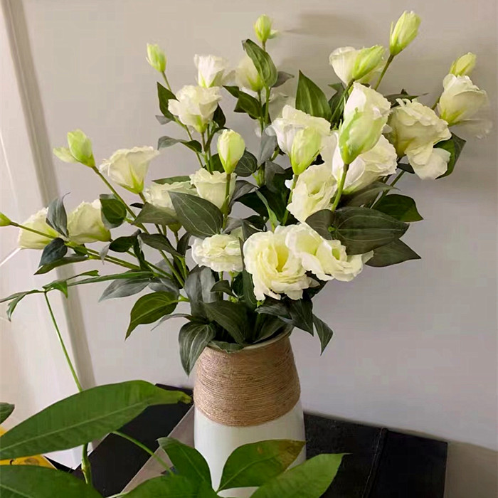 桔梗花白色绢花仿真花餐桌摆件图片