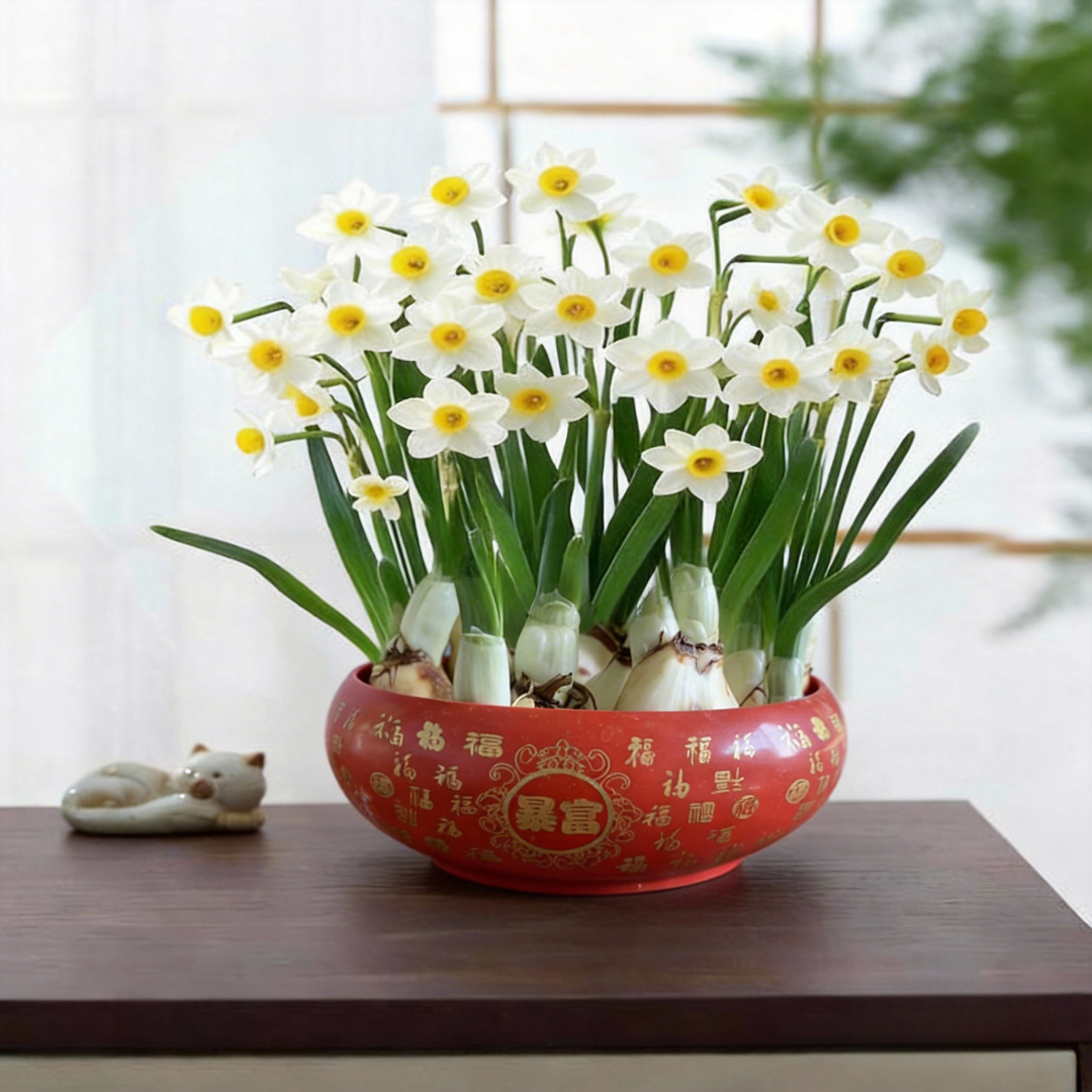 水培水仙花盆栽室内桌面绿植新手易养驱蚊四季开花含盆,鲜花速递/花卉仿真/绿植园艺,绿植,淘宝优惠券,粉丝福利购,淘宝优惠卷