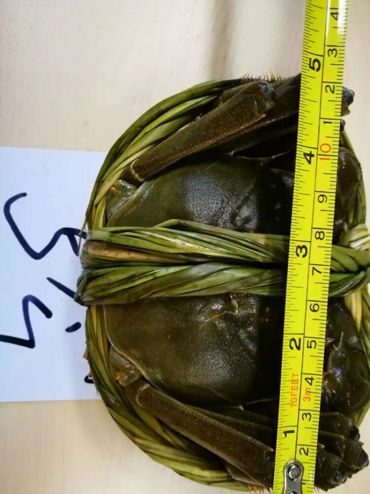 俭金黄酒聚会大闸蟹湖鲜爽口