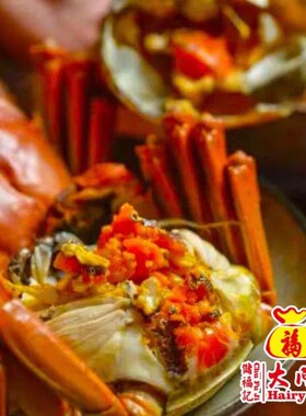 俭金黄酒聚会大闸蟹湖鲜爽口