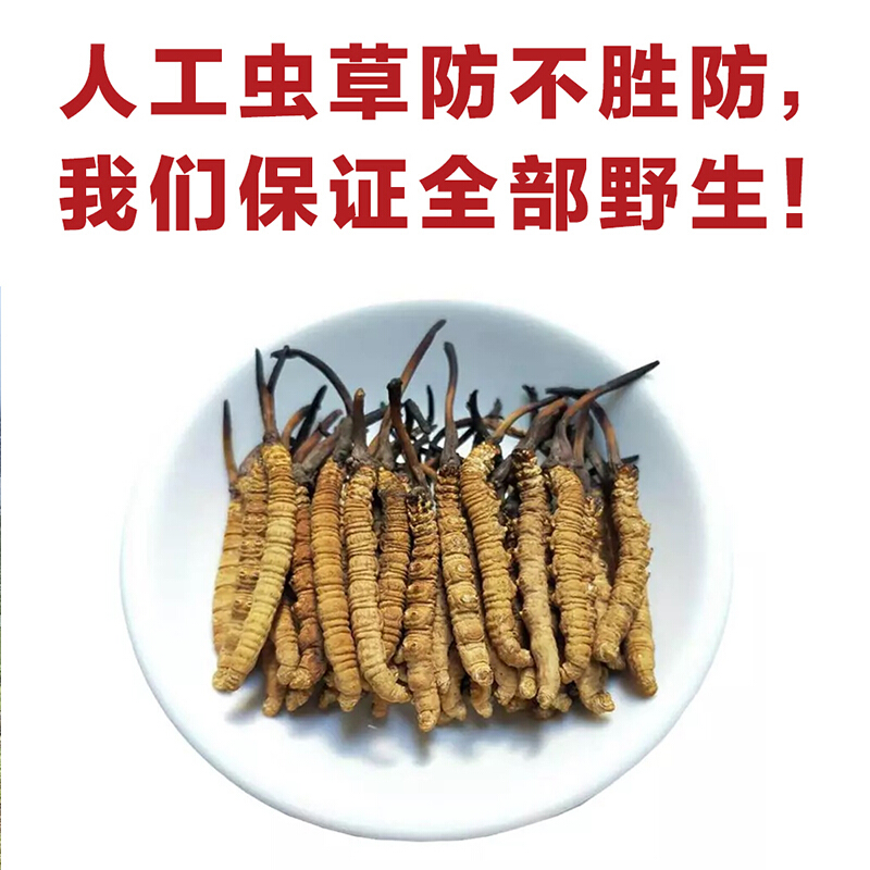 西藏那曲冬虫夏草5克雪域高原虫草精选4根1克干草无断草约20根
