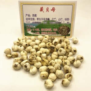 西藏野生贝母100g山南高原藏青贝苦味尖贝炉贝芝母乌花贝松贝川贝