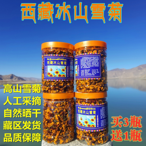 西藏雪菊野生冰山雪菊王高原胎菊