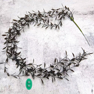 仿真黑色壁挂爬山虎藤动漫萝莉万圣场密室景探案暗哥特柳叶过江龙