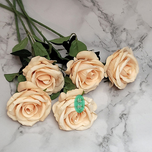 香槟白色玫瑰单头朵束客厅装饰假绢仿真花绒布单支只摆放桌面婚纱