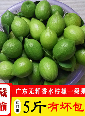 新鲜正宗广东无籽香水柠檬5斤一级小果绿青柠檬皮薄青柠商用水果