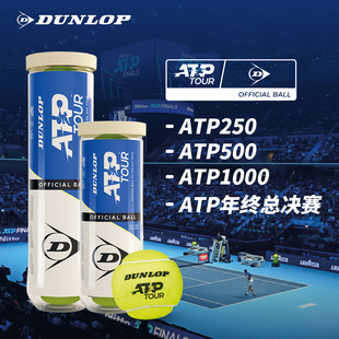 DUNLOP邓禄普ATP网球巡回赛指定用球大师赛比赛胶罐3粒耐打手感好