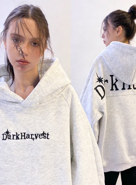 ZM.Z2026春季新款美式街头字母刺绣连帽卫衣男女宽松休闲百搭帽衫