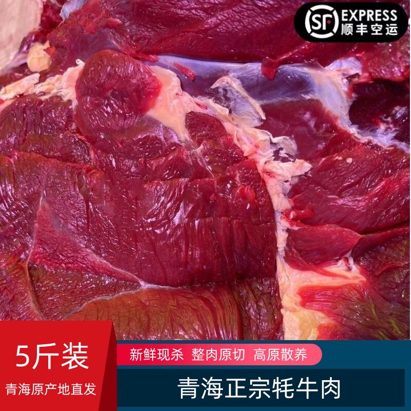 青海草膘牛腿肉2500g草饲牦牛肉散养新鲜原切现杀生牛肉生鲜