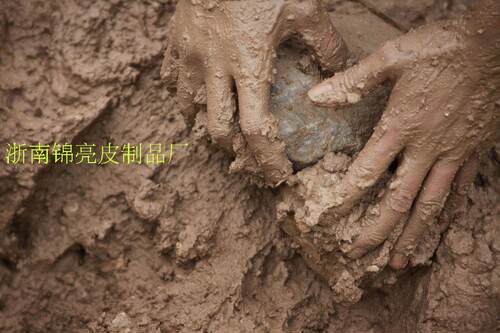 园土多少钱 园土价格 小麦优选