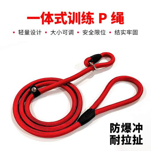 宠物狗绳牵引绳P链P绳