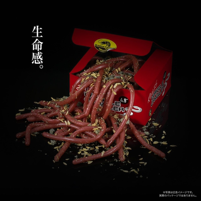 日本DUO路亚面条虫大容量