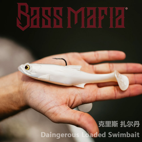 克里斯扎尔丹设计swimbait软鱼