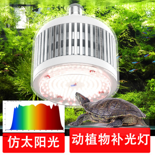 80W 36W全光谱LED鱼缸植物生长补光灯乌龟昆虫晒背灯E27螺口灯泡