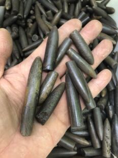 古生物化石精品箭石化石新到完整箭石化石150元一公斤
