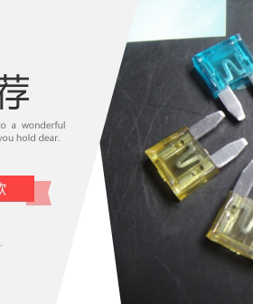 大众保险丝速腾 迈腾 高尔夫6 新宝来 奥迪等车用小号保险丝