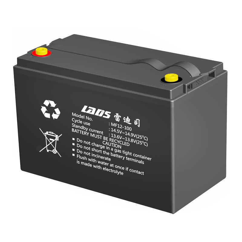 雷迪司ups电池12V100AH
