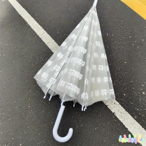 ins猫咪长柄透明雨伞儿童可爱女长柄学生小清新成人高颜值伞