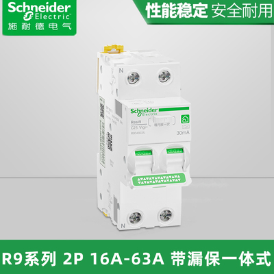 施耐德空气开关家用R9系列漏保断路器两位2P空开带漏电保护紧凑型