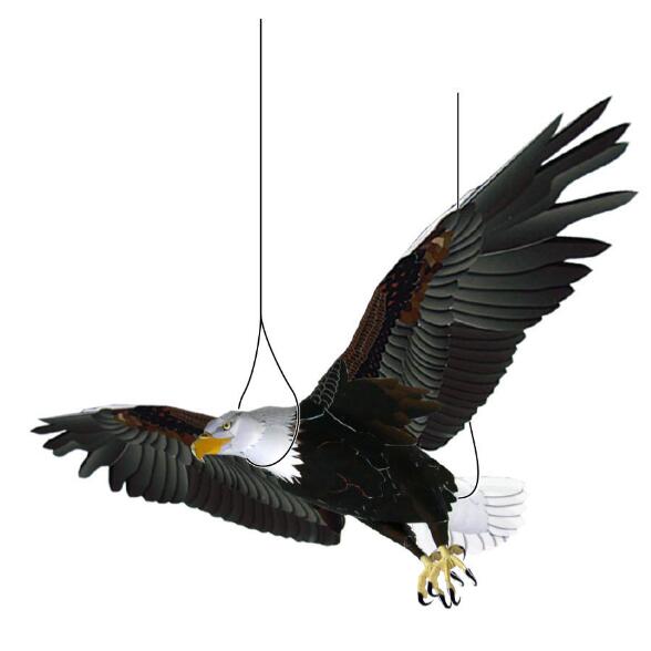 仿真动物鸟大老鹰白头鹰立体纸模型DIY手工制作儿童折纸益智玩具,模玩/动漫/周边/娃圈三坑/桌游,其他类型纸模,淘宝优惠券,粉丝福利购,淘宝优惠卷