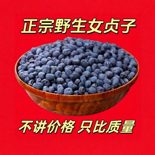秦岭野生女贞子泡水泡酒冬至批发