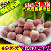 非500g 包邮 新鲜红皮芡实仁 芡实米鸡头米干货茨实欠实芡实粉400g