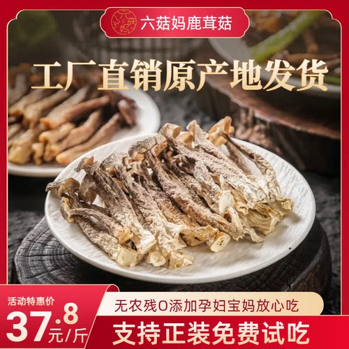 鹿茸菇干货 无熏硫无农残自然晾晒 炒肉炖汤鲜美营养美味脆嫩新货