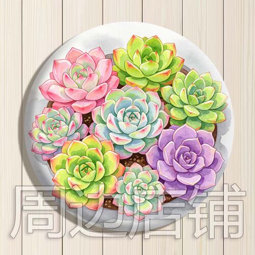 礼物吧唧 花卉徽章 多肉植物花卉挂件装饰 马口铁谷子 礼物胸针