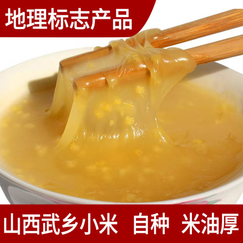 山西小米黄小米武乡沁州黄新米