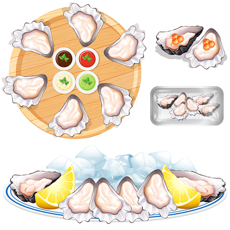 生蚝 牡蛎海蛎子蚵清蒸美味食物海产养殖贝类 ai格式矢量设计素材