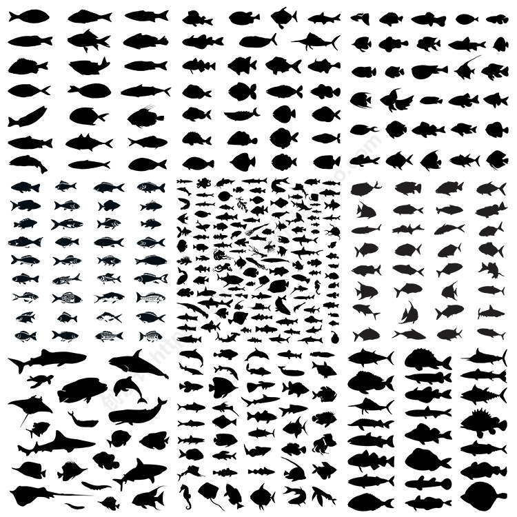 鱼类剪影 海洋动物海鱼鲨鱼八爪鱼轮廓影子 ai格式矢量设计素材