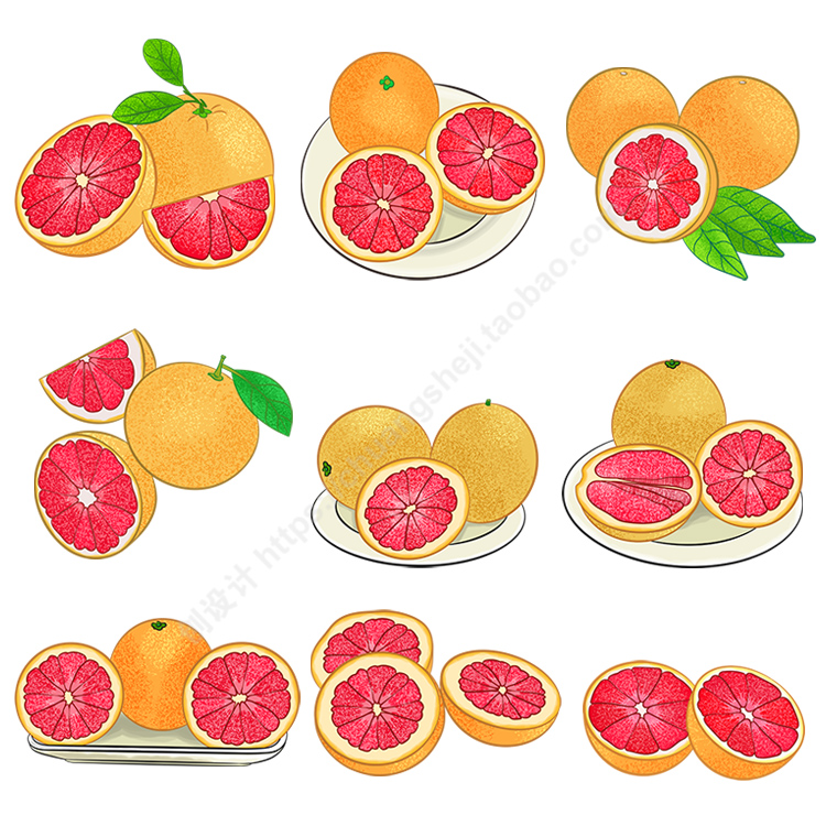 红肉柚子插画 手绘水果西柚蜜柚成熟果实切面 ai格式矢量设计素材