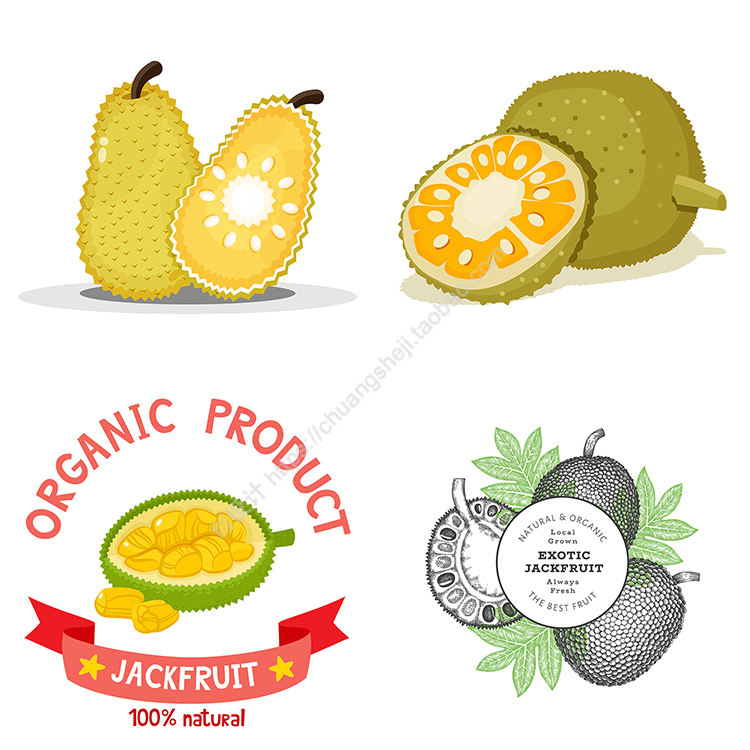 菠萝蜜 手绘卡通果实水果大树菠萝插画 ai格式矢量设计素材