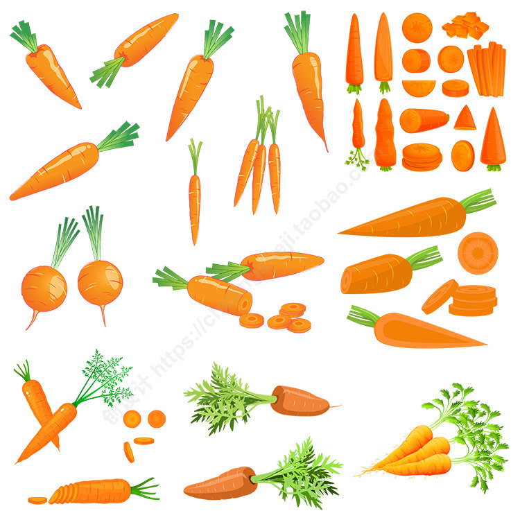 胡萝卜插画 扁平化手绘蔬菜红萝卜甘荀切面 ai格式矢量设计素材