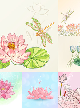 彩绘荷花背景 手绘唯美清新莲花花卉海报插画 AI格式矢量设计素材