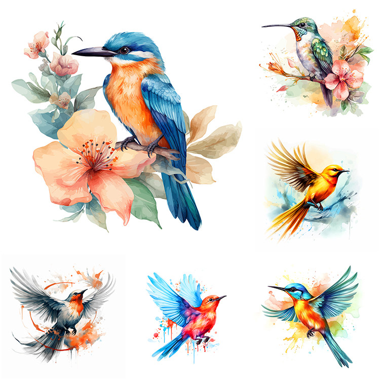 彩绘蜂鸟插画 手绘卡通鸟类动物 AI格式矢量设计素材