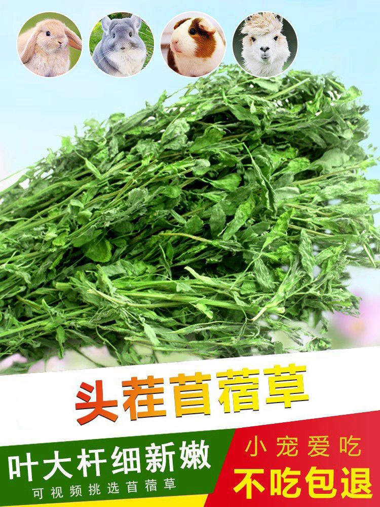 紫花苜蓿草1KG豚鼠荷兰猪龙猫兔子牧草饲料幼兔粮干草兔草苜宿草 宠物/宠物食品及用品 兔兔干草 原图主图