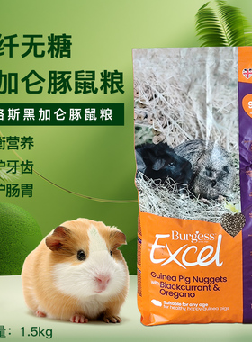 英国进口布格斯BURGESS 黑加仑 天竺鼠粮 荷兰猪粮 豚鼠粮 鉰料草
