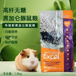 现货布格斯黑加仑 天竺鼠粮高纤荷兰猪粮1.5kg布格斯黑加仑豚鼠粮